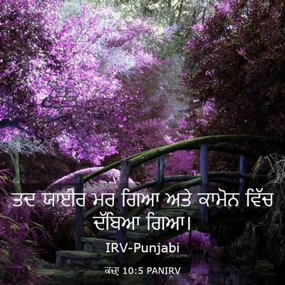 Picture 03 - ਕਜ਼ਾૃ 10:5 PANIRV - ਤਦ ਯਾਈਰ ਮਰ ਗਿਆ ਅਤੇ - Bible Verse Picture