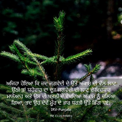 Picture 03 - ਕਜ਼ਾૃ 13:20 PANIRV - ਅਜਿਹਾ ਹੋਇਆ ਕਿ ਜਦ - Bible Verse Picture