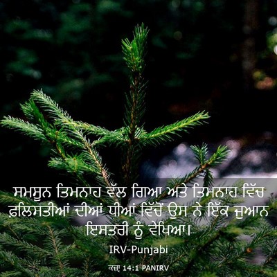 Picture 03 - ਕਜ਼ਾૃ 14:1 PANIRV - ਸਮਸੂਨ ਤਿਮਨਾਹ ਵੱਲ - Bible Verse Picture