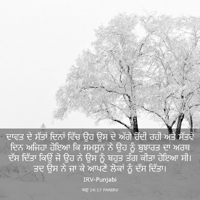 Picture 03 - ਕਜ਼ਾૃ 14:17 PANIRV - ਦਾਵਤ ਦੇ ਸੱਤਾਂ - Bible Verse Picture