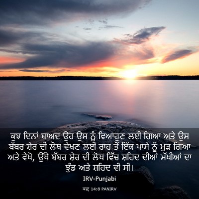 Picture 03 - ਕਜ਼ਾૃ 14:8 PANIRV - ਕੁਝ ਦਿਨਾਂ ਬਾਅਦ ਉਹ - Bible Verse Picture