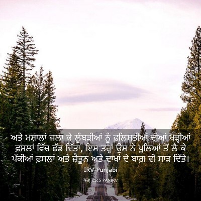 Picture 03 - ਕਜ਼ਾૃ 15:5 PANIRV - ਅਤੇ ਮਸ਼ਾਲਾਂ ਜਲਾ ਕੇ - Bible Verse Picture