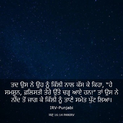 Picture 03 - ਕਜ਼ਾૃ 16:14 PANIRV - ਤਦ ਉਸ ਨੇ ਉਹ ਨੂੰ - Bible Verse Picture