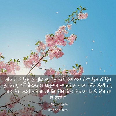 Picture 03 - ਕਜ਼ਾૃ 17:9 PANIRV - ਮੀਕਾਹ ਨੇ ਉਸ ਨੂੰ - Bible Verse Picture