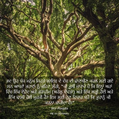 Picture 03 - ਕਜ਼ਾૃ 18:14 PANIRV - ਤਦ ਉਹ ਪੰਜ ਮਨੁੱਖ - Bible Verse Picture