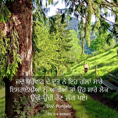 Picture 03 - ਕਜ਼ਾૃ 2:4 PANIRV - ਜਦ ਯਹੋਵਾਹ ਦੇ ਦੂਤ ਨੇ - Bible Verse Picture
