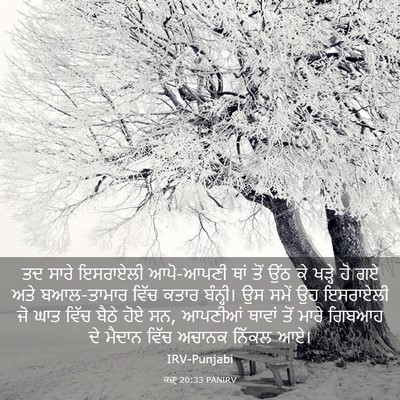 Picture 03 - ਕਜ਼ਾૃ 20:33 PANIRV - ਤਦ ਸਾਰੇ ਇਸਰਾਏਲੀ - Bible Verse Picture