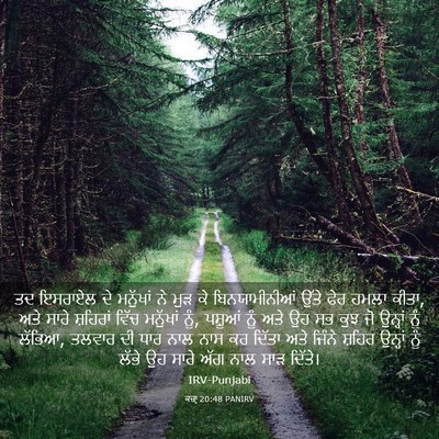 Picture 03 - ਕਜ਼ਾૃ 20:48 PANIRV - ਤਦ ਇਸਰਾਏਲ ਦੇ - Bible Verse Picture