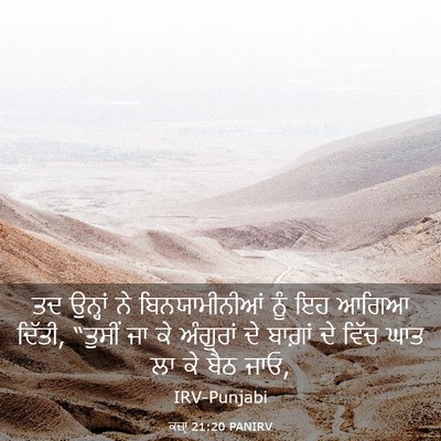 Picture 03 - ਕਜ਼ਾૃ 21:20 PANIRV - ਤਦ ਉਨ੍ਹਾਂ ਨੇ - Bible Verse Picture
