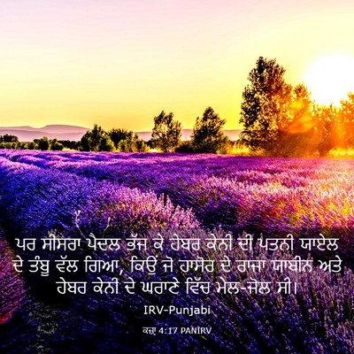 Picture 03 - ਕਜ਼ਾૃ 4:17 PANIRV - ਪਰ ਸੀਸਰਾ ਪੈਦਲ ਭੱਜ - Bible Verse Picture