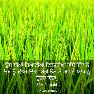 Picture 03 - ਕਜ਼ਾૃ 5:29 PANIRV - ਉਸ ਦੀਆਂ ਸਿਆਣੀਆਂ - Bible Verse Picture