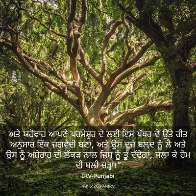 Picture 03 - ਕਜ਼ਾૃ 6:26 PANIRV - ਅਤੇ ਯਹੋਵਾਹ ਆਪਣੇ - Bible Verse Picture