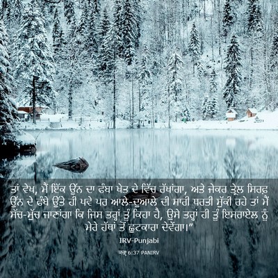 Picture 03 - ਕਜ਼ਾૃ 6:37 PANIRV - ਤਾਂ ਵੇਖ, ਮੈਂ ਇੱਕ - Bible Verse Picture