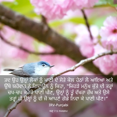 Picture 03 - ਕਜ਼ਾૃ 7:5 PANIRV - ਤਦ ਉਹ ਉਨ੍ਹਾਂ ਲੋਕਾਂ - Bible Verse Picture