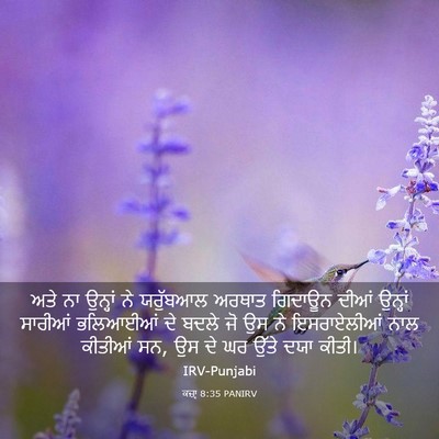 Picture 03 - ਕਜ਼ਾૃ 8:35 PANIRV - ਅਤੇ ਨਾ ਉਨ੍ਹਾਂ ਨੇ - Bible Verse Picture