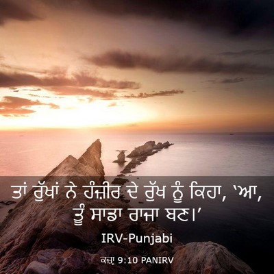 Picture 03 - ਕਜ਼ਾૃ 9:10 PANIRV - ਤਾਂ ਰੁੱਖਾਂ ਨੇ - Bible Verse Picture