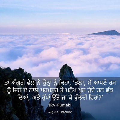 Picture 03 - ਕਜ਼ਾૃ 9:13 PANIRV - ਤਾਂ ਅੰਗੂਰੀ ਵੇਲ ਨੇ - Bible Verse Picture