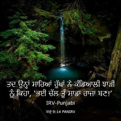 Picture 03 - ਕਜ਼ਾૃ 9:14 PANIRV - ਤਦ ਉਨ੍ਹਾਂ ਸਾਰਿਆਂ - Bible Verse Picture