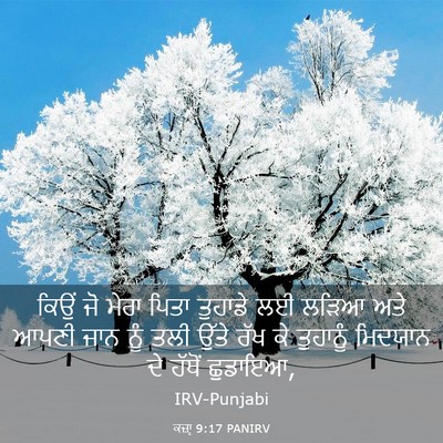 Picture 03 - ਕਜ਼ਾૃ 9:17 PANIRV - ਕਿਉਂ ਜੋ ਮੇਰਾ ਪਿਤਾ - Bible Verse Picture