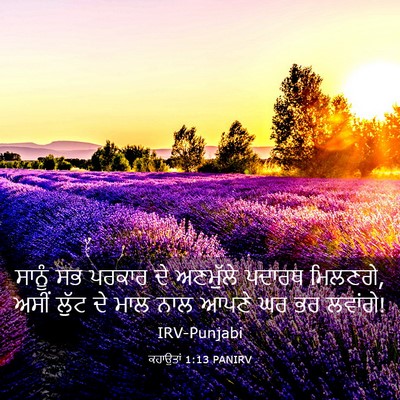 Picture 03 - ਕਹਾਉਤਾਂ 1:13 PANIRV - ਸਾਨੂੰ ਸਭ ਪਰਕਾਰ ਦੇ - Bible Verse Picture