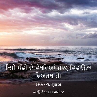 Picture 03 - ਕਹਾਉਤਾਂ 1:17 PANIRV - ਕਿਸੇ ਪੰਛੀ ਦੇ - Bible Verse Picture