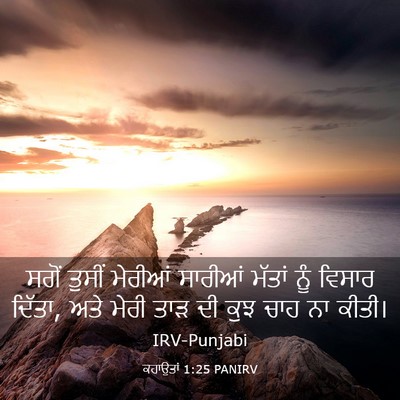 Picture 03 - ਕਹਾਉਤਾਂ 1:25 PANIRV - ਸਗੋਂ ਤੁਸੀਂ ਮੇਰੀਆਂ - Bible Verse Picture