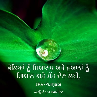 Picture 03 - ਕਹਾਉਤਾਂ 1:4 PANIRV - ਭੋਲਿਆਂ ਨੂੰ ਸਿਆਣਪ - Bible Verse Picture