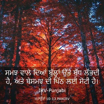 Picture 03 - ਕਹਾਉਤਾਂ 10:13 PANIRV - ਸਮਝ ਵਾਲੇ ਦਿਆਂ - Bible Verse Picture