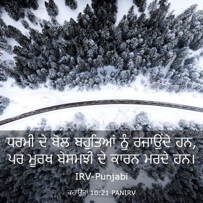 Picture 03 - ਕਹਾਉਤਾਂ 10:21 PANIRV - ਧਰਮੀ ਦੇ ਬੋਲ - Bible Verse Picture