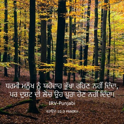 Picture 03 - ਕਹਾਉਤਾਂ 10:3 PANIRV - ਧਰਮੀ ਮਨੁੱਖ ਨੂੰ - Bible Verse Picture
