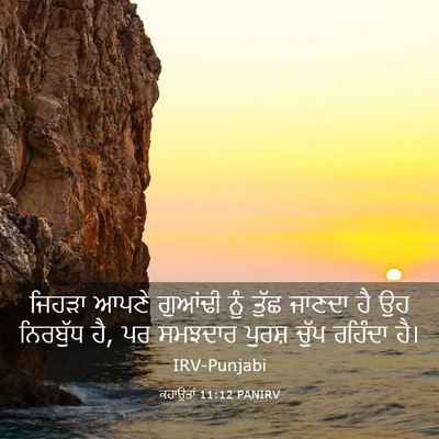 Picture 03 - ਕਹਾਉਤਾਂ 11:12 PANIRV - ਜਿਹੜਾ ਆਪਣੇ ਗੁਆਂਢੀ - Bible Verse Picture