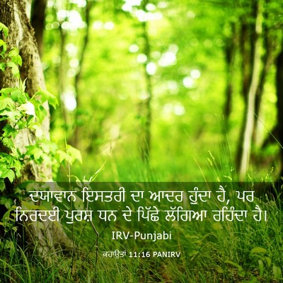 Picture 03 - ਕਹਾਉਤਾਂ 11:16 PANIRV - ਦਯਾਵਾਨ ਇਸਤਰੀ ਦਾ - Bible Verse Picture