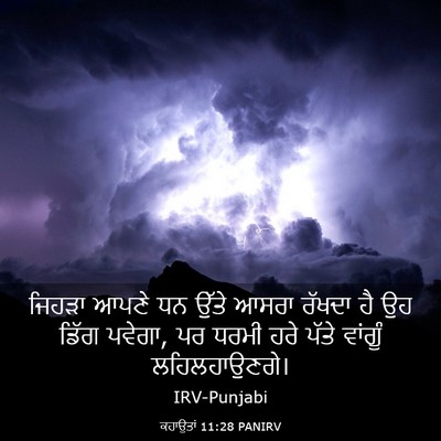 Picture 03 - ਕਹਾਉਤਾਂ 11:28 PANIRV - ਜਿਹੜਾ ਆਪਣੇ ਧਨ ਉੱਤੇ - Bible Verse Picture