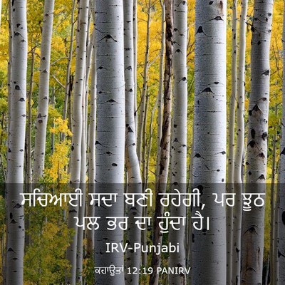 Picture 03 - ਕਹਾਉਤਾਂ 12:19 PANIRV - ਸਚਿਆਈ ਸਦਾ ਬਣੀ - Bible Verse Picture