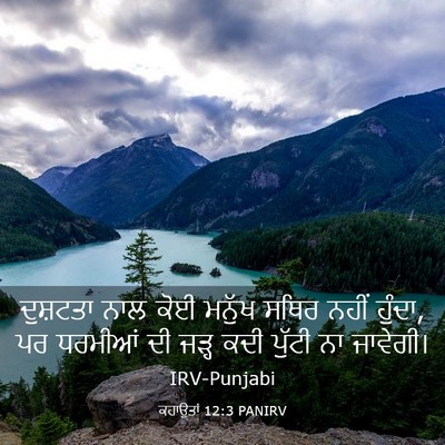 Picture 03 - ਕਹਾਉਤਾਂ 12:3 PANIRV - ਦੁਸ਼ਟਤਾ ਨਾਲ ਕੋਈ - Bible Verse Picture