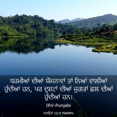 Picture 03 - ਕਹਾਉਤਾਂ 12:5 PANIRV - ਧਰਮੀਆਂ ਦੀਆਂ - Bible Verse Picture