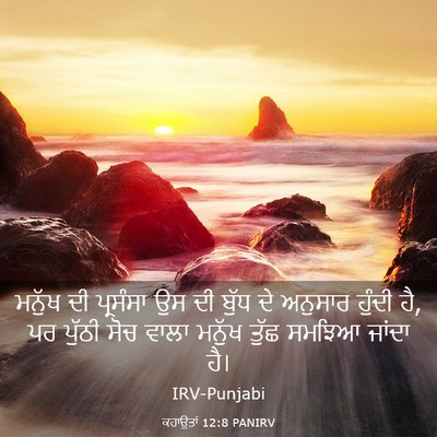 Picture 03 - ਕਹਾਉਤਾਂ 12:8 PANIRV - ਮਨੁੱਖ ਦੀ ਪ੍ਰਸੰਸਾ - Bible Verse Picture