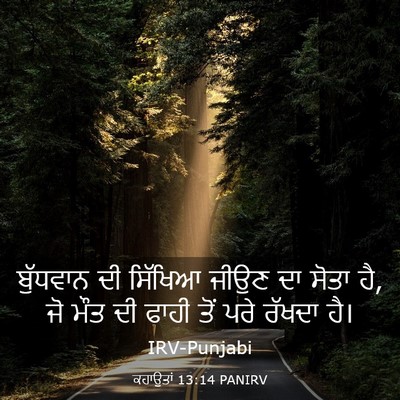 Picture 03 - ਕਹਾਉਤਾਂ 13:14 PANIRV - ਬੁੱਧਵਾਨ ਦੀ ਸਿੱਖਿਆ - Bible Verse Picture