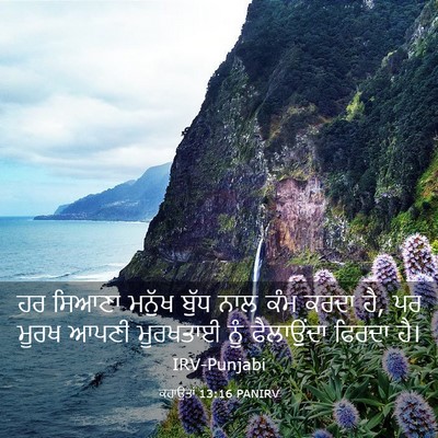 Picture 03 - ਕਹਾਉਤਾਂ 13:16 PANIRV - ਹਰ ਸਿਆਣਾ ਮਨੁੱਖ - Bible Verse Picture
