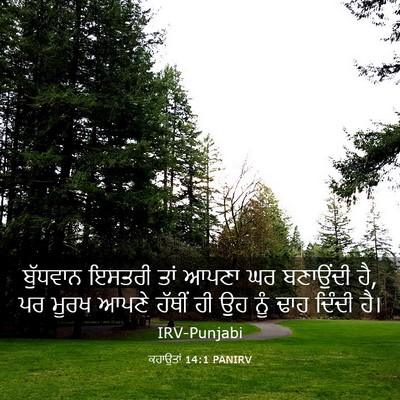 Picture 03 - ਕਹਾਉਤਾਂ 14:1 PANIRV - ਬੁੱਧਵਾਨ ਇਸਤਰੀ ਤਾਂ - Bible Verse Picture
