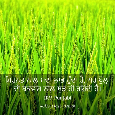 Picture 03 - ਕਹਾਉਤਾਂ 14:23 PANIRV - ਮਿਹਨਤ ਨਾਲ ਸਦਾ ਲਾਭ - Bible Verse Picture