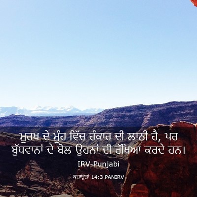 Picture 03 - ਕਹਾਉਤਾਂ 14:3 PANIRV - ਮੂਰਖ ਦੇ ਮੂੰਹ ਵਿੱਚ - Bible Verse Picture