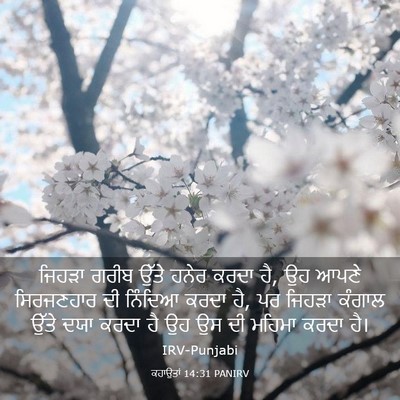 Picture 03 - ਕਹਾਉਤਾਂ 14:31 PANIRV - ਜਿਹੜਾ ਗਰੀਬ ਉੱਤੇ - Bible Verse Picture