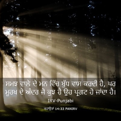 Picture 03 - ਕਹਾਉਤਾਂ 14:33 PANIRV - ਸਮਝ ਵਾਲੇ ਦੇ ਮਨ ਵਿੱਚ - Bible Verse Picture