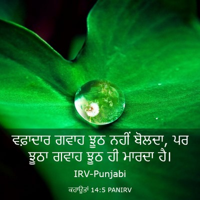 Picture 03 - ਕਹਾਉਤਾਂ 14:5 PANIRV - ਵਫ਼ਾਦਾਰ ਗਵਾਹ ਝੂਠ - Bible Verse Picture