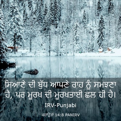 Picture 03 - ਕਹਾਉਤਾਂ 14:8 PANIRV - ਸਿਆਣੇ ਦੀ ਬੁੱਧ ਆਪਣੇ - Bible Verse Picture