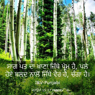 Picture 03 - ਕਹਾਉਤਾਂ 15:17 PANIRV - ਸਾਗ ਪਤ ਦਾ ਖਾਣਾ - Bible Verse Picture