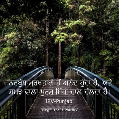 Picture 03 - ਕਹਾਉਤਾਂ 15:21 PANIRV - ਨਿਰਬੁੱਧ ਮੂਰਖਤਾਈ - Bible Verse Picture