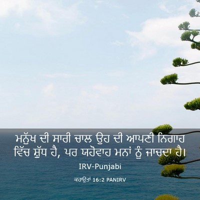 Picture 03 - ਕਹਾਉਤਾਂ 16:2 PANIRV - ਮਨੁੱਖ ਦੀ ਸਾਰੀ ਚਾਲ - Bible Verse Picture