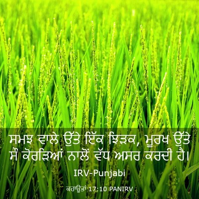 Picture 03 - ਕਹਾਉਤਾਂ 17:10 PANIRV - ਸਮਝ ਵਾਲੇ ਉੱਤੇ ਇੱਕ - Bible Verse Picture